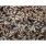 ΚΑΝΑΡΙΝΙΑ