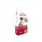 Bedog  Active (32/14) 15kg