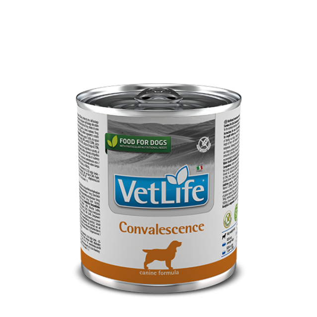 Farmina Vet Life Convalescence 300gr