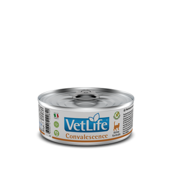 Farmina Vet Life Feline Convalescence 85gr 