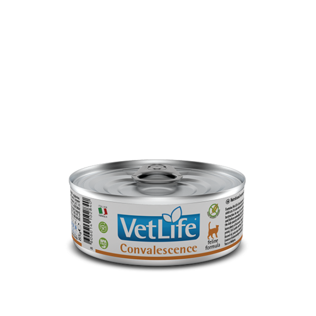 Farmina Vet Life Feline Convalescence 85gr 