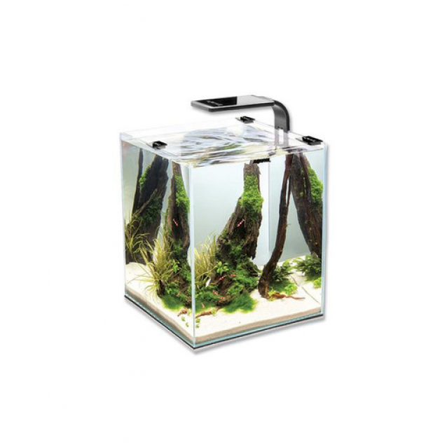 Shrimp set smart 2 19lt