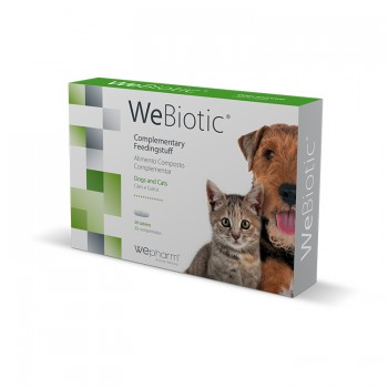 Wepharm WeBiotic 30 Δισκία Αντιδιαρροϊκο 