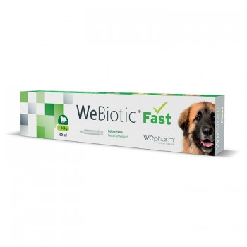 Wepharm WeBiotic Fast Large Breed 60ml Αντιδιαρροϊκό