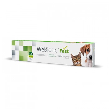 Wepharm WeBiotic Fast Small Breed & Γάτες 15ml Αντιδιαρροϊκό