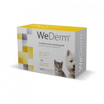 Wepharm WeDerm 240 (4×60) Κάψουλες Ω3-Ω6 για Δέρμα και Τρίχωμα