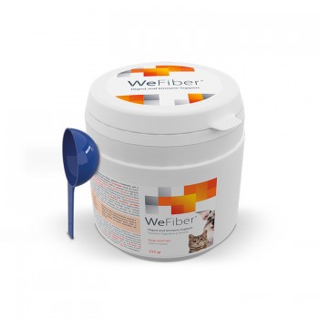 Wepharm WeFiber 225gr Σκόνη για Υποστήριξη  του Πεπτικού