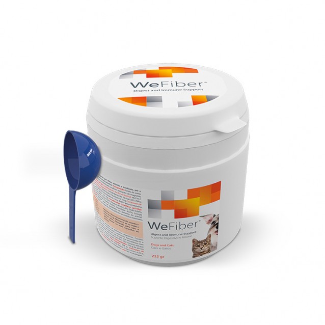 Wepharm WeFiber 225gr Σκόνη για Υποστήριξη  του Πεπτικού