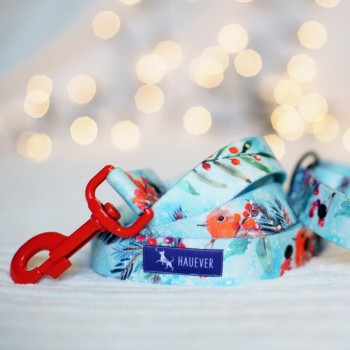 Hauever Οδηγός Σκύλου The Christmas Bird Small Hook 150cm