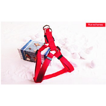 Natural Σαμαράκι Ιμάντας Κόκκινο Small