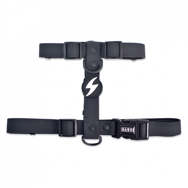 Dashi Σαμαράκι Σκύλου Colorflex Black Small 32-53cm