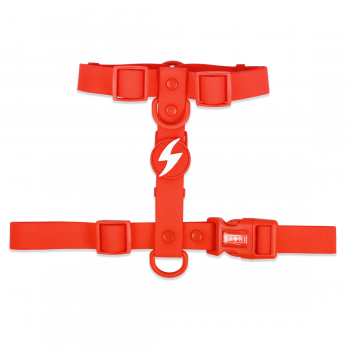 Dashi Σαμαράκι Σκύλου Colorflex Red Large 62-107cm