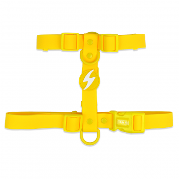 Dashi Σαμαράκι Σκύλου Colorflex Yellow Large 62-107cm