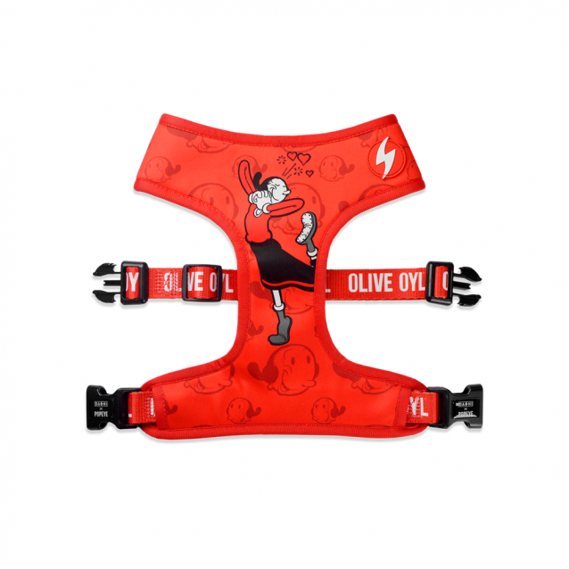 Dashi Σαμαράκι Σκύλου Διπλής Όψης & Οδηγός Olive Oyl Large