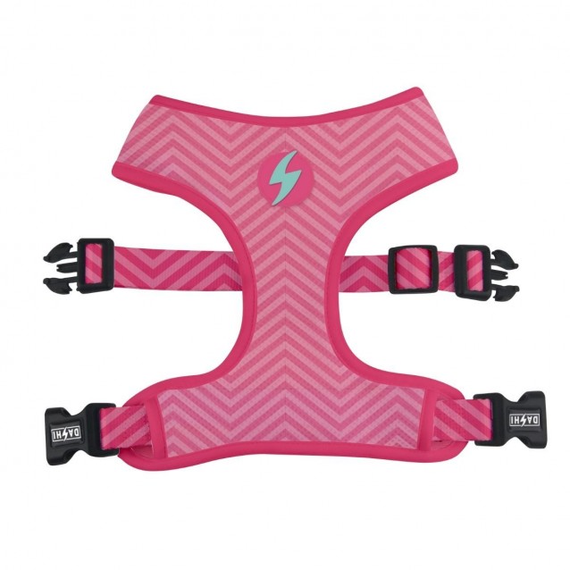Dashi Σαμαράκι Σκύλου Διπλής Όψης & Οδηγός Flamingo Large