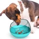Pupcorn Slow Feed Bowl Πιατάκι Ταϊσματος Για Κατοικίδια Μπλε 14x19x19cm