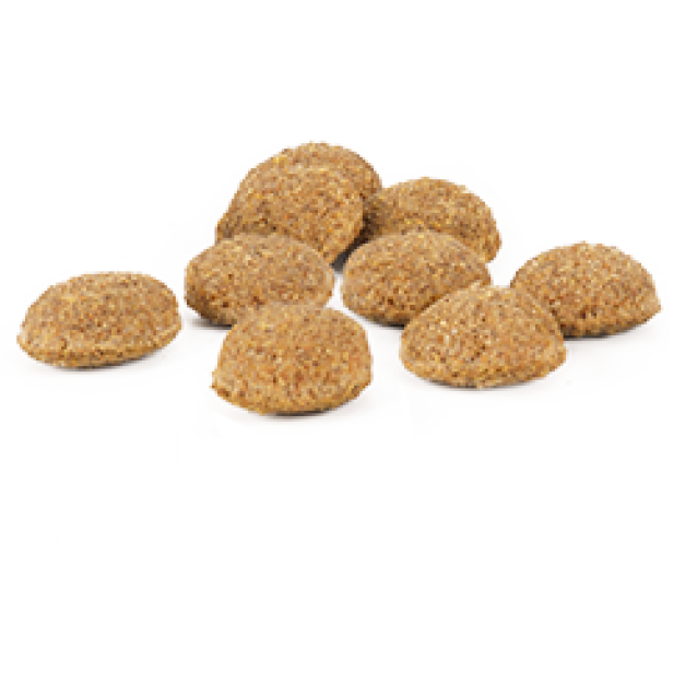 Internutri Tasty Dog Active 18kg