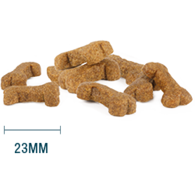 Internutri Tasty Dog Defense 20kg