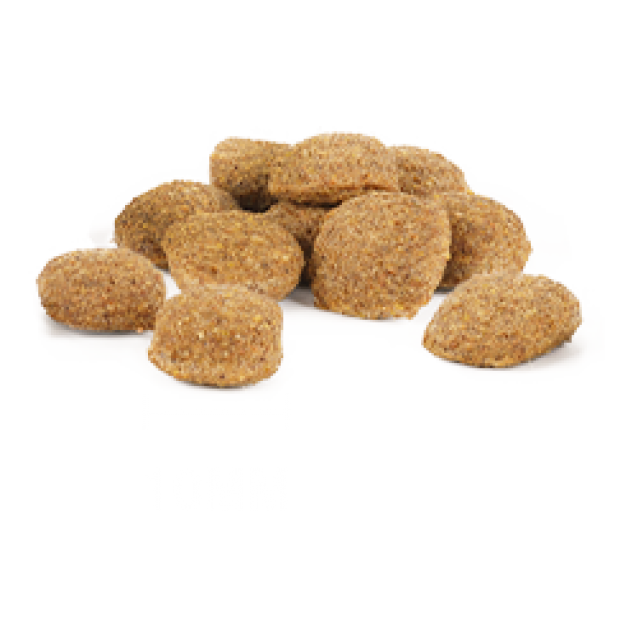 Internutri Tasty Dog Energy 18kg