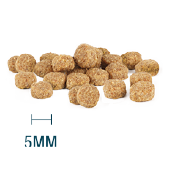 Internutri Tasty Kitten 2kg