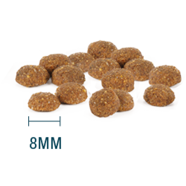 Internutri Tasty Puppy 3kg