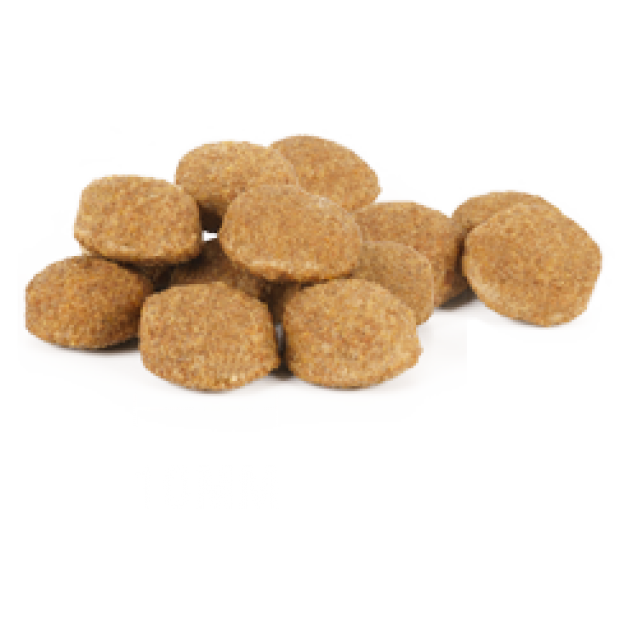 Internutri Tasty Dog Sensitive 3kg