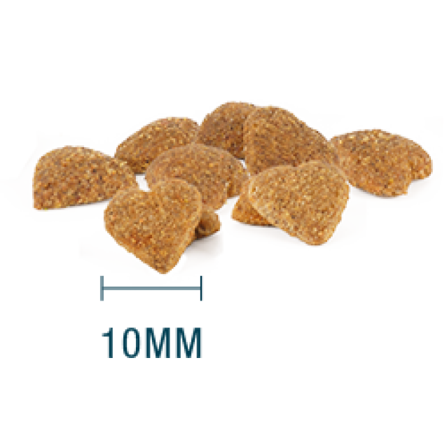 Internutri Tasty Dog Adult Small 3kg