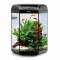 Aquael Ενυδρείο Hexa Set 60L Black