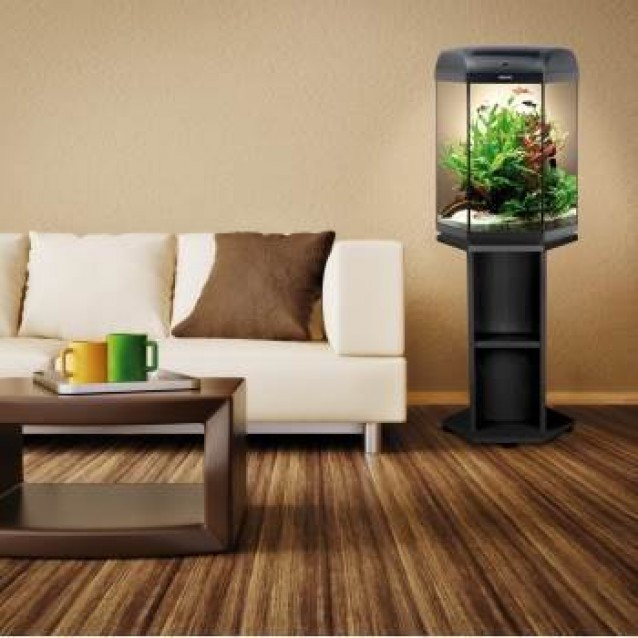 Aquael Ενυδρείο Hexa Set 60L Black