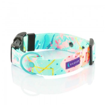 Hauever Περιλαίμιο Σκύλου Special Occasion Large 40x62cm