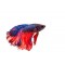 Betta (Μονομάχος)