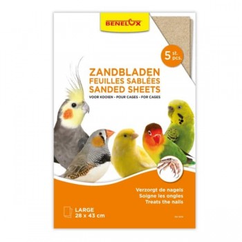 Benelux Sanded Sheets Large 5pcs 28x43cm